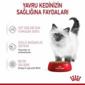 Royal Canin Kitten Yavru Kedi Yaş Maması 85 Gr 12 Li - 2