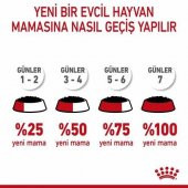 Royal Canin Kitten Yavru Kedi Yaş Maması 85 Gr 12 Li - 3