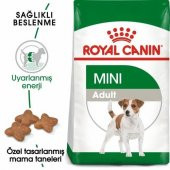 Royal Canin Mini Adult Küçük Irk Yetişkin Köpek Maması 2 Kg thumbnail 3