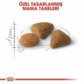 Royal Canin Exigent 35/30 Yetişkin Kedi Maması 2 Kg - 2
