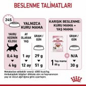 Royal Canin Kitten Yavru Kedi Maması 2 Kg - 4