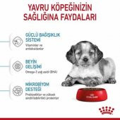 Royal Canin Medium Junior Orta Irk Yavru Köpek Maması 15 Kg thumbnail 2
