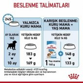 Royal Canin Medium Junior Orta Irk Yavru Köpek Maması 15 Kg thumbnail 4