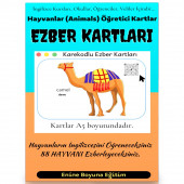 İngilizce Hayvanlar (Animals) Ezber Kartları - 1