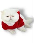 Cat Santa Bow Yılbaşı Kedi Sweati - 8