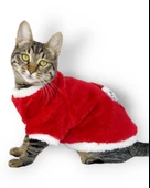 Cat Santa Bow Yılbaşı Kedi Sweati - 3