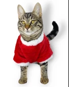 Cat Santa Bow Yılbaşı Kedi Sweati - 6