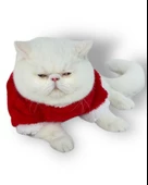 Cat Santa Bow Yılbaşı Kedi Sweati - 7