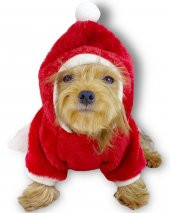 Gold Santa Yılbaşı Köpek Sweatshirt, Noel Sweatshirt - 4
