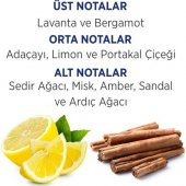 FİRST CLASS EDT 100 ml+ DEO 150ml thumbnail 2