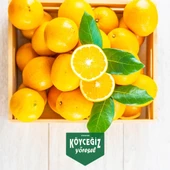 Kb Köyceğiz Yöresel Köyceğiz Portakalı 8 Kg thumbnail 2