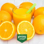 Kb Köyceğiz Yöresel Köyceğiz Portakalı 8 Kg thumbnail 5