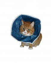 Kedi Yakalığı 18 cm - 1