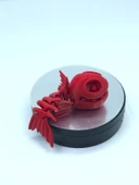 3D Hareketli Balık Figürlü Oyuncak - Kırmızı thumbnail 5