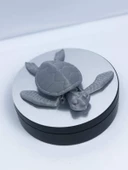 3D Hareketli Kaplumbağa Figürlü Oyuncak - Gri thumbnail 6