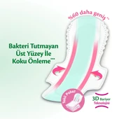 EVONY MESANE PEDİ YOGUN 350MM 160 ADET - 3