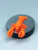 3D Hareketli Istakoz Figürlü Oyuncak - Turuncu thumbnail 2