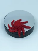 3 Boyutlu Hareketli Ahtapot Oyuncak & Masa Dekoru - Kırmızı thumbnail 6