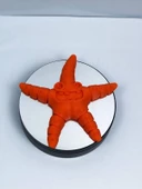 3D Hareketli Oyuncak Deniz Yıldızı - Koyu Turuncu - 7