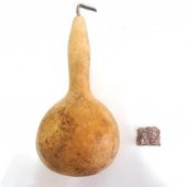 Şu Kabağı Tohumu 5 Adet - 1