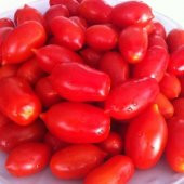 Bardak Şeker Çeri Domates Tohumu - 1