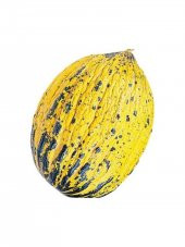 Doğal Kışlık Kavun Kırkağaç 589 100 Ad. Tohum - 1