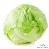 Iceberg Göbek Marul Tohumu 100 Tohum thumbnail 1