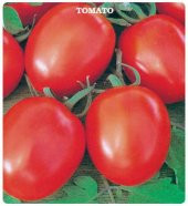 Domates Tohumu H-2274 2 Gram - 1