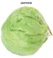 Iceberg Marul Tohumu 1 Gram thumbnail 2