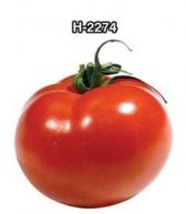 Doğal 2274 Domates Tohumu 20 Adet thumbnail 1