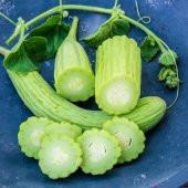 İri Meyveli Armenian Acuru Tohumu 50 Adet thumbnail 4