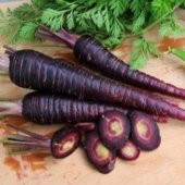 Doğal Siyah Havuç Tohumu 20 Tohum thumbnail 1