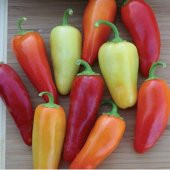 Doğal Santa Fe Grande Acı Biber Tohumu 20 Adet thumbnail 5