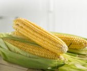 Süt Mısır Tohumu 50+ Tohum N11.7398 - 1