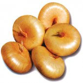 50+ İtalyan Sarı Cipollini Soğan Tohumu N11.1484 thumbnail 1