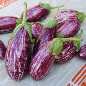 Listada Çizgili Patlıcan Tohumu thumbnail 1