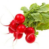 Doğal Big Red Turp Tohumu 25 Tohum thumbnail 1