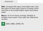 Ata Tohumu Yerli Siyah Kabak Tohumu 20 Adet Tohum 20 Adet Tohum - 2