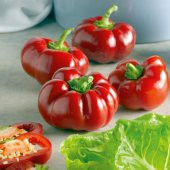 Domates Biber Tohumu Kamber Biberi Tohumu15 Adet Tohum - 1