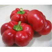 Domates Biber Tohumu Kamber Biberi Tohumu15 Adet Tohum - 3