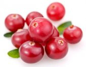 Cranberry Tohumu Turna Yemişi Tohumu 5 Tohum+Sakıs+Toprak+ - 1