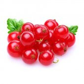 Tropikal Frenk Üzümü Tohum Bektaş Üzümü 5 Tohum+Saksı+Toprak+Hedi - 1