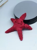 3D Hareketli Deniz Yıldızı Oyuncak - Kırmızı - 3
