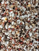 Kaju Guvercin Yemi 20KG - 1