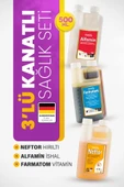 Farmatom Vitamin-neftor Hırıltı-alfamin Ishal 3 Adet 500ml - 1