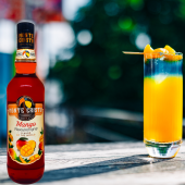 MONTE CRİSTO ŞURUP MANGO 70CL - 2