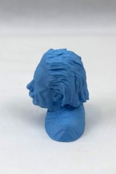3D Albert Einstein Büstü - 2