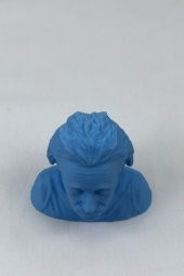 3D Albert Einstein Büstü - 3