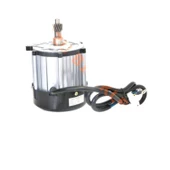 Elektrikli Üç Tekerli Dc Motor 60-1200 W - 1
