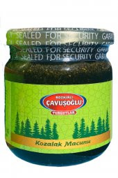 Kozalak Macunu 240g x 2 - 3